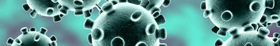 Coronavirus update 10.06.20